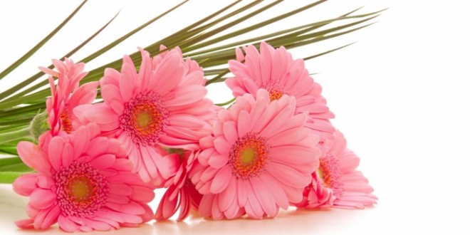 http://www.pouted.com/wp-content/uploads/2013/08/bouquet-flowers-wallpapers-hd-17-660x330.jpg