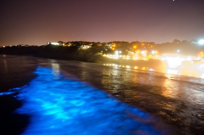 Magnificent And Breathtaking Blue Waves That Glow At Night