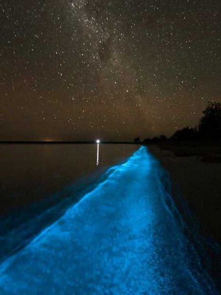 Magnificent And Breathtaking Blue Waves That Glow At Night