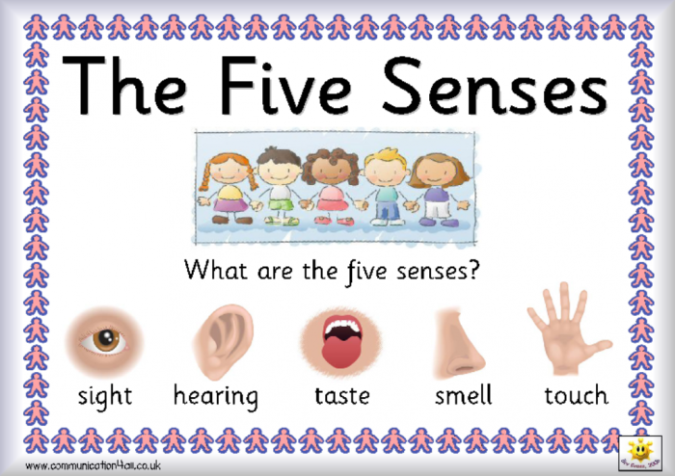 Do You Know How To Train Your Child To Use The Five Senses?