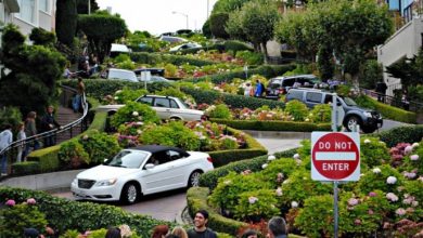 lombard 55 Most Fascinating & Weird Roads Like These Before? - 15