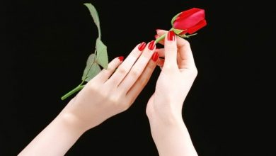 Red Rose Flower In Beautiful Hands Wallpaper 10 Ways To Get Beautiful Hands - 22