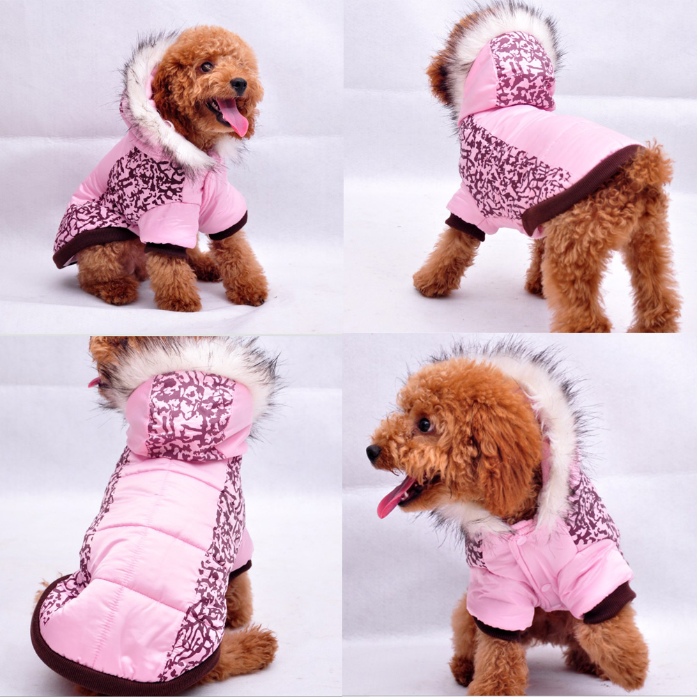 Top 35 Winter Clothes for Dogs