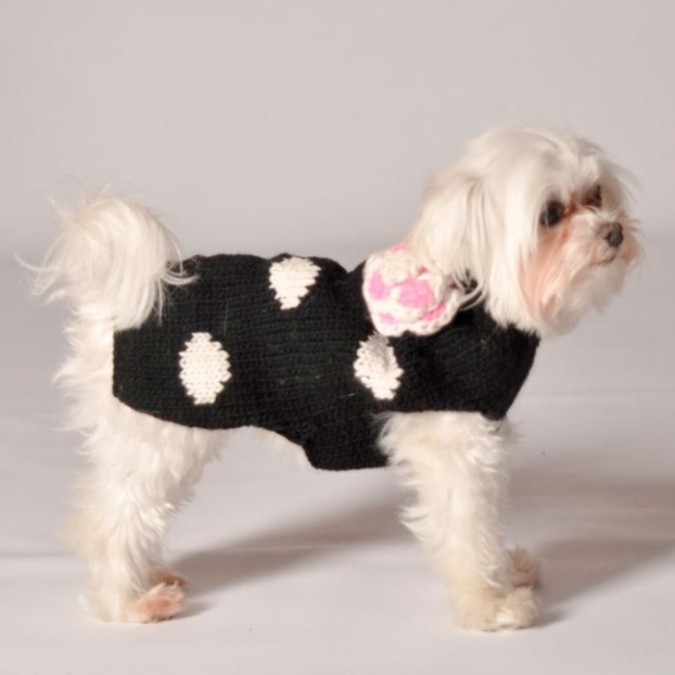 Top 25 Breathtaking Dog Sweaters for Your Dog | Pouted.com