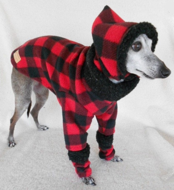 Top 25 Breathtaking Dog Sweaters For Your Dog