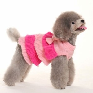 Top 25 Breathtaking Dog Sweaters For Your Dog