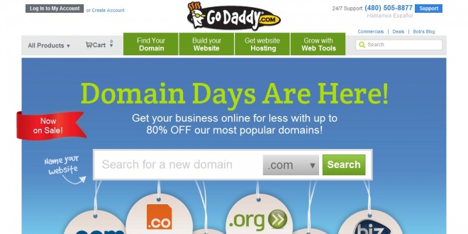 Godaddy Hosting Reviews By Their Customers with its Coupon Codes 2013