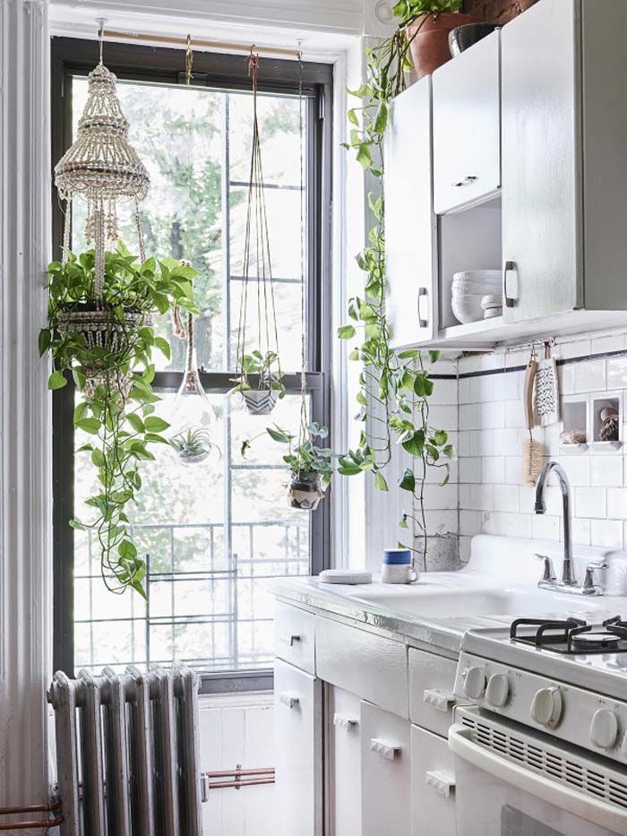 White Kitchen With Plants 