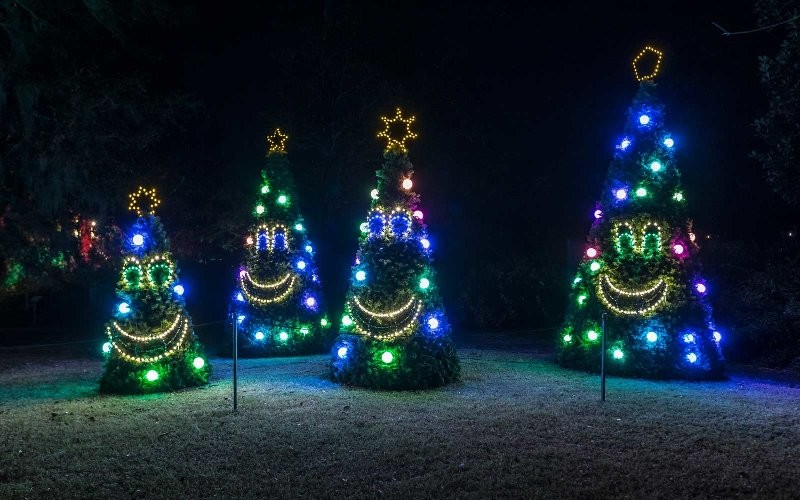 outdoor Christmas light decoration ideas 137 98+ Magical Christmas Light Decoration Ideas for Your Yard - 139