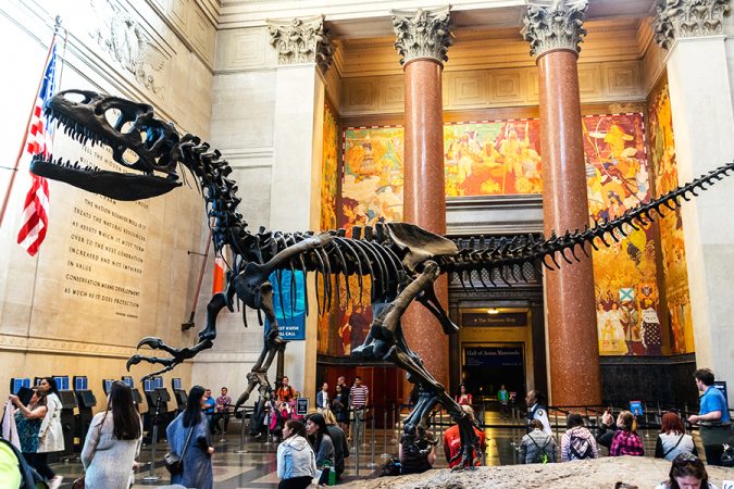 American Museum of Natural History 8 Best Travel Destinations in June - 6