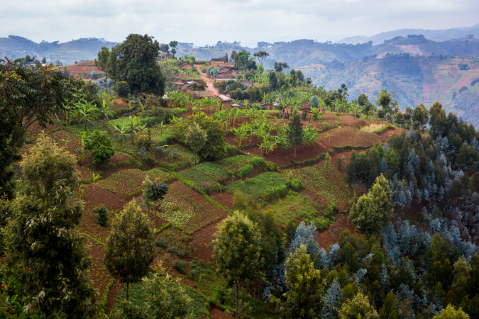 landscapes in Rwanda 8 Best Travel Destinations in June - 11