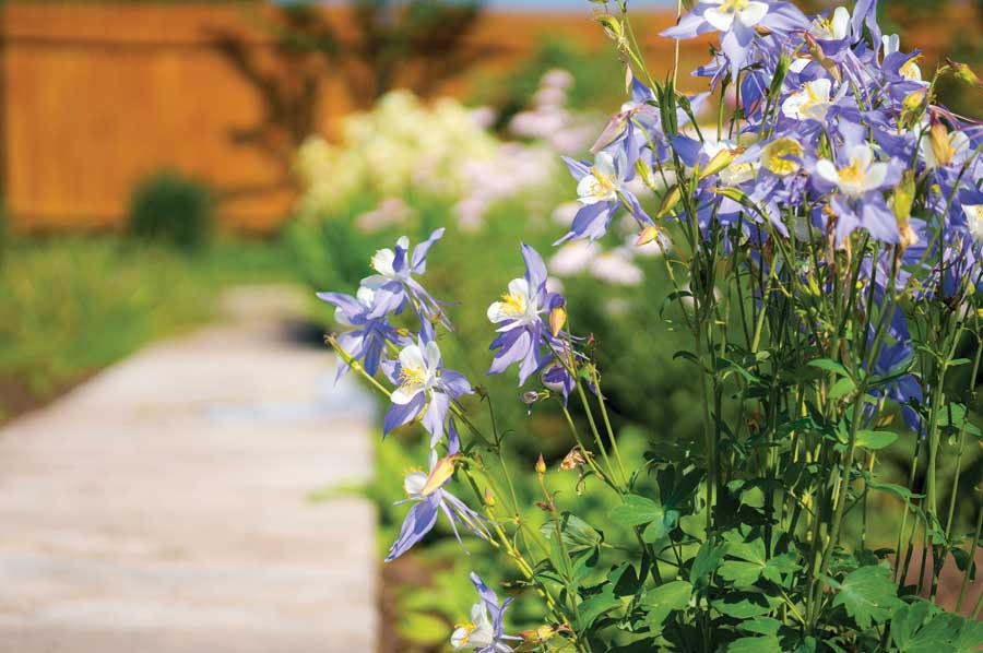 Top 20 Garden Trends: Early Predictions To Adopt