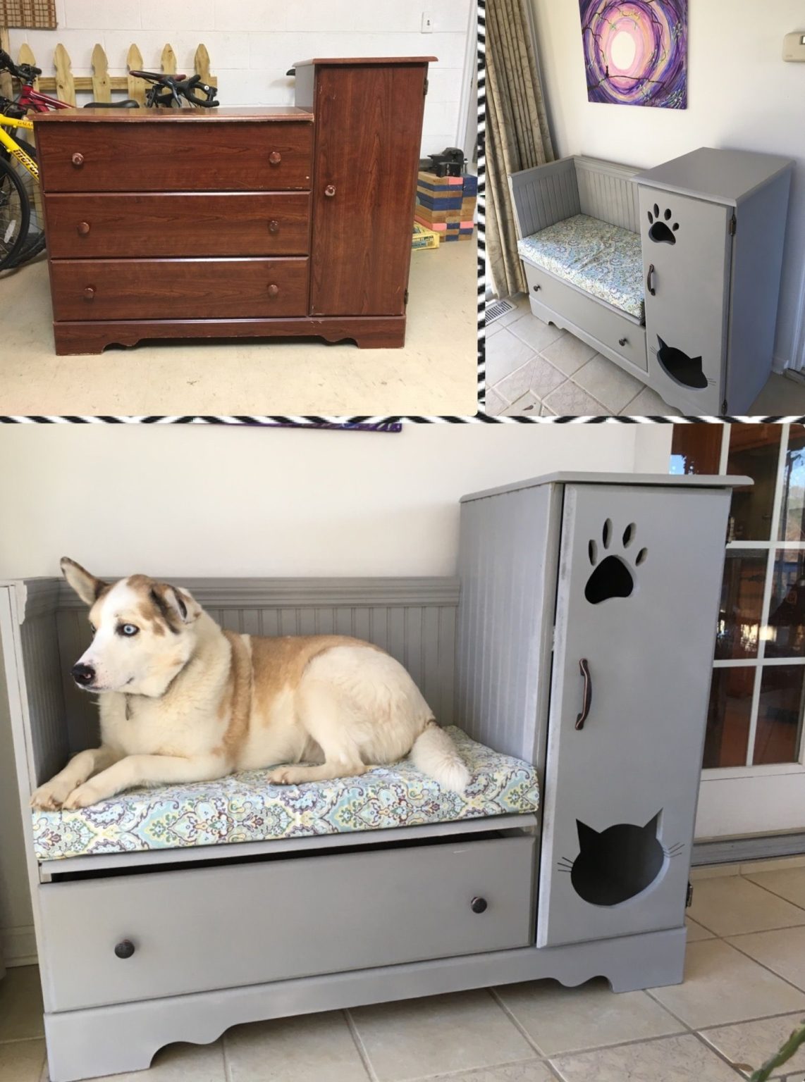 +80 Adorable Dog Bed Designs That Will Surprise You