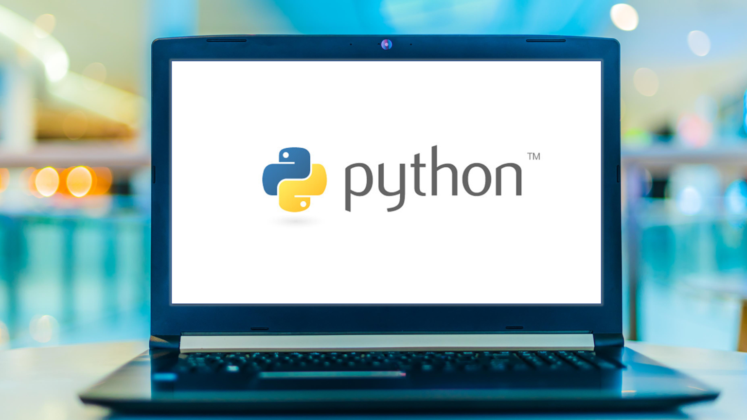 Can You Learn Python Without Knowing Html