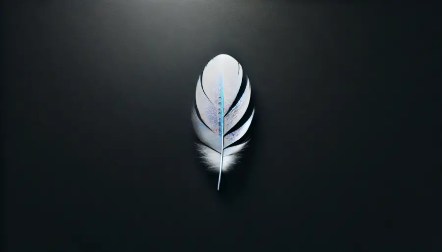 minimalist photo of a single white feather centered on a smooth black surface, with soft lighting highlighting its delicate texture.