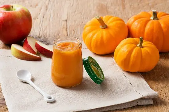 Apple and Pumpkin Puree Top 7 Baby Foods 2025: Best Choices for Your Little One - 7