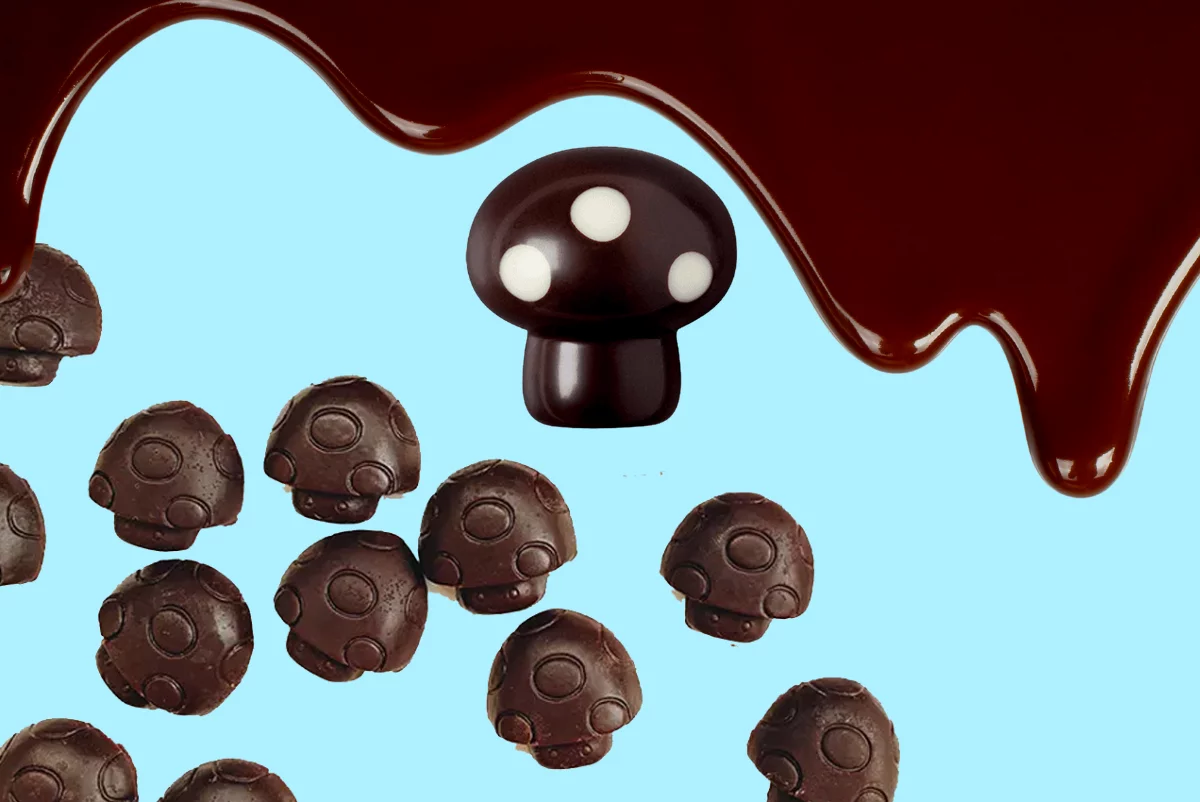 Magic mushroom chocolate Magic Mushroom Chocolate Bars : Top 10 you need to know - 4