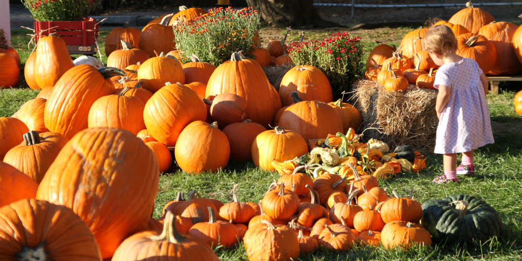 Pumpkins In The City and Harvest Festival "Discover Silver Dollar City: Branson's Top Attraction for Holiday Fun" - 4