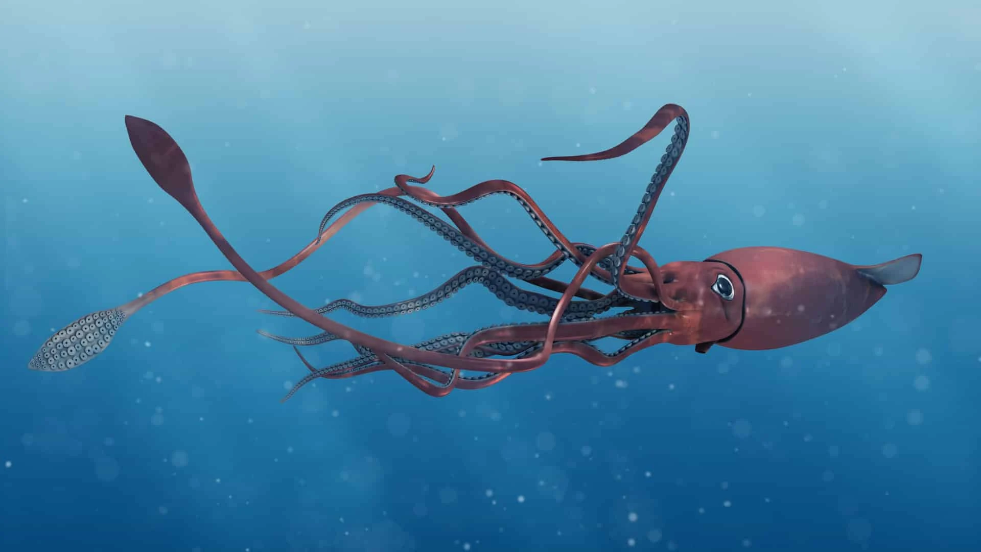 giant squid Top Weirdest Deep Sea Creatures: Erich Hoyt's Marine Wonders - 15