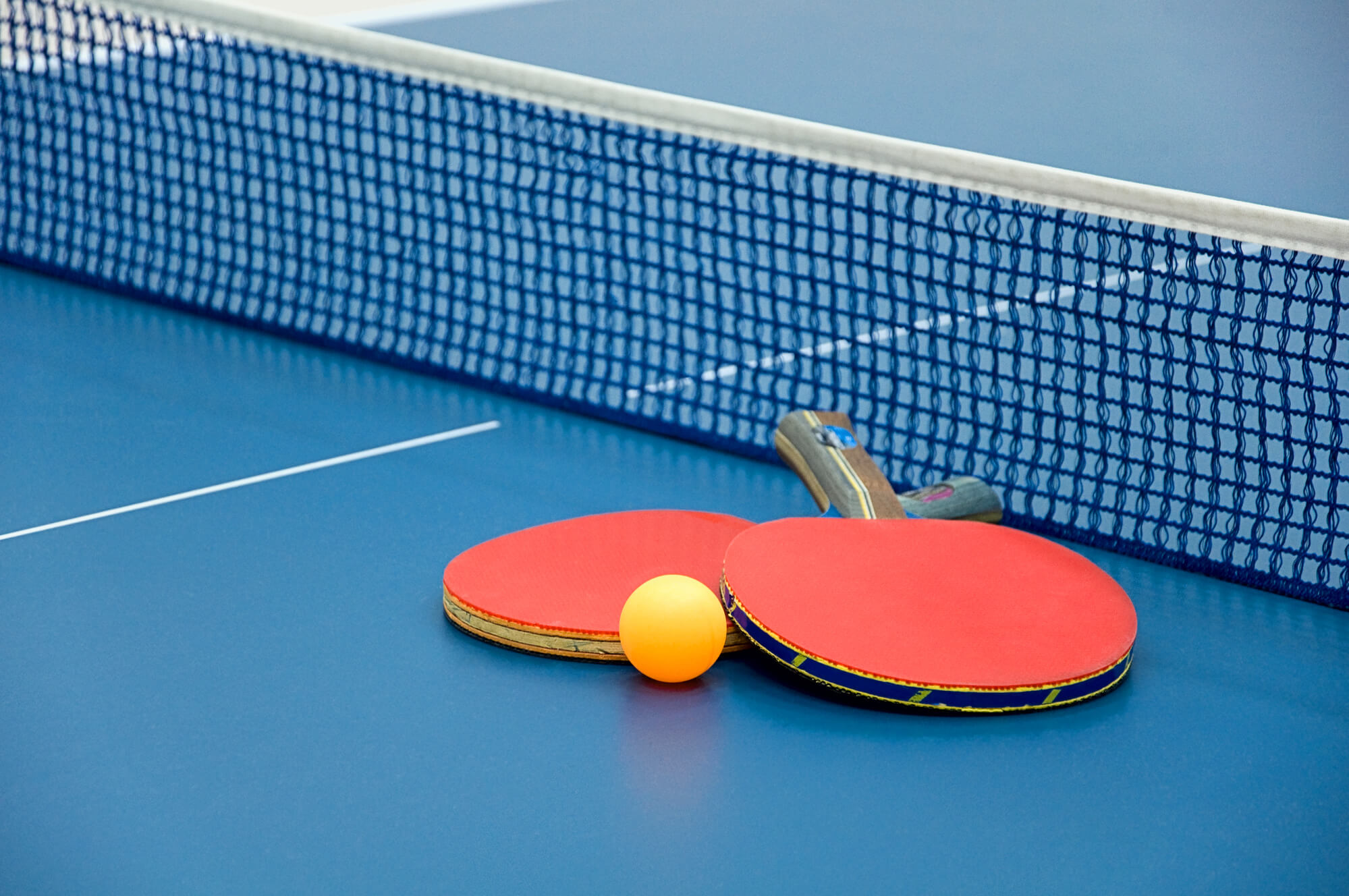 Table Tennis 7 Most Played Sports Around the World in 2024 - 9