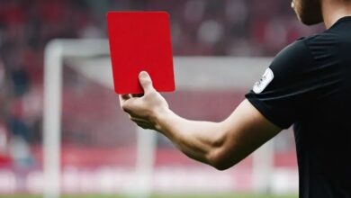 football red cards Top 7 Football Players with Most Red Cards in History - 20