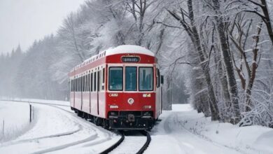 travel in winter Top 10 Things You Need to Travel in Winter | Travel Guide - 52