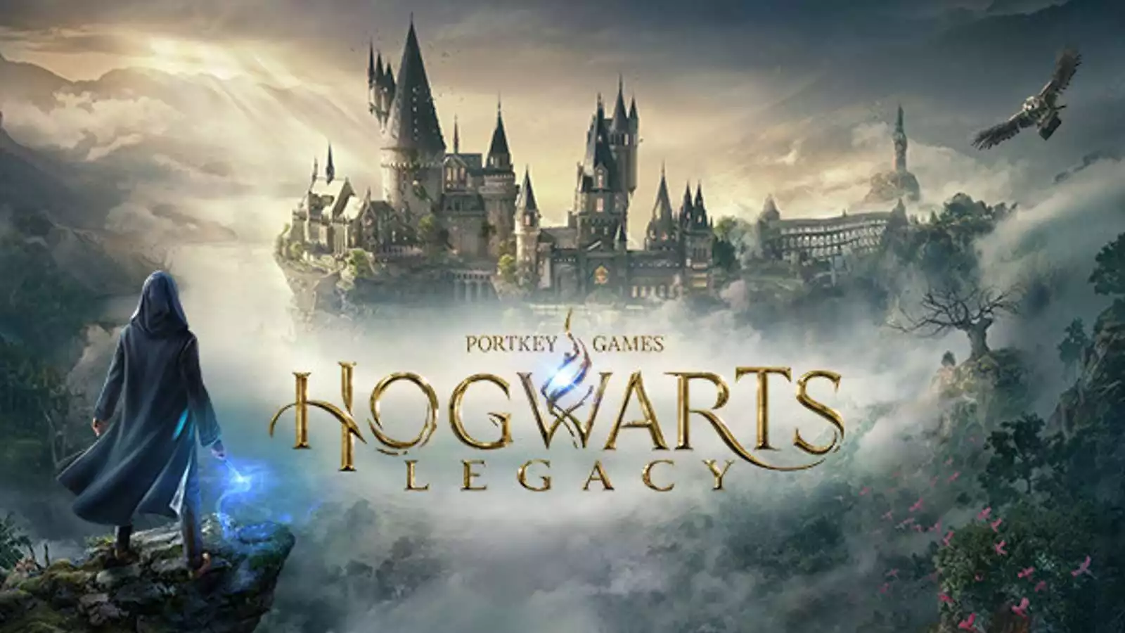 Hogwarts Legacy The Best-Selling Video Games of 2024 - 9