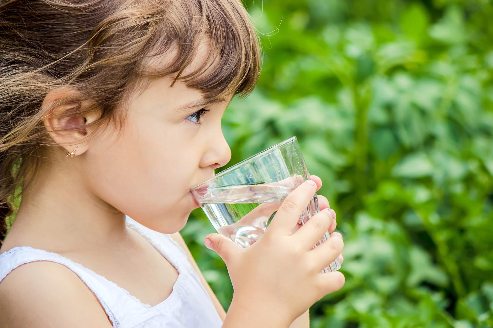 Hydration "Top Nutrition Tips for Toddlers: Essential Foods for Growth" - 8