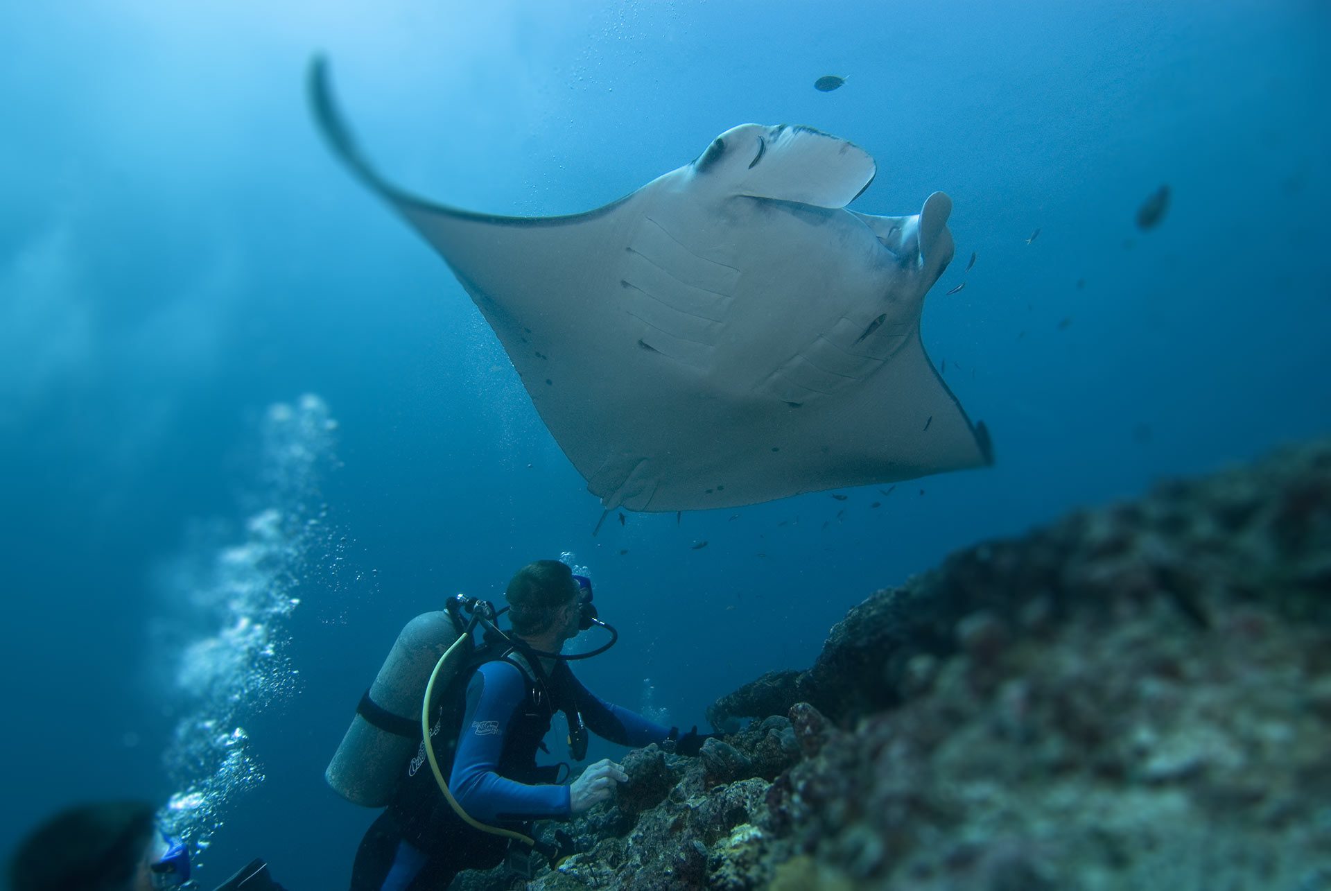 Palau Micronesia 10 Best Dive Sites in the World: A Bluewater Dive Travel Guide - 4