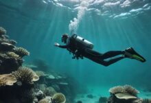 diving 10 Best Dive Sites in the World: A Bluewater Dive Travel Guide - 12